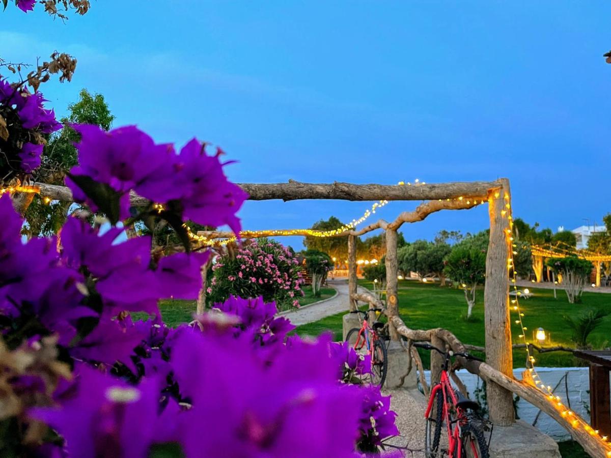 Eco Beach And Magic Garden Hotel Gennadi Eksteriør billede